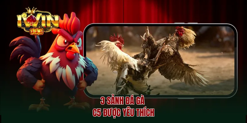 3 Sảnh đá gà c5 được yêu thích