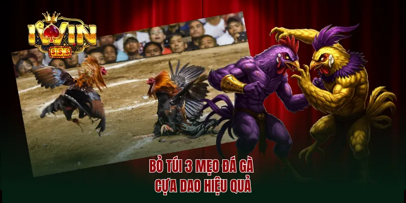 Bỏ túi 3 mẹo đá gà cựa dao hiệu quả