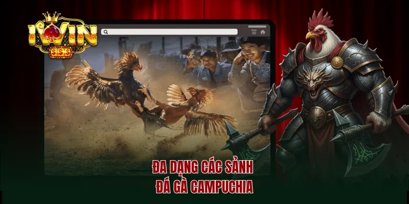 Đa dạng các sảnh đá gà Campuchia