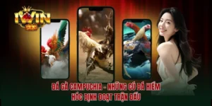 Đá gà Campuchia