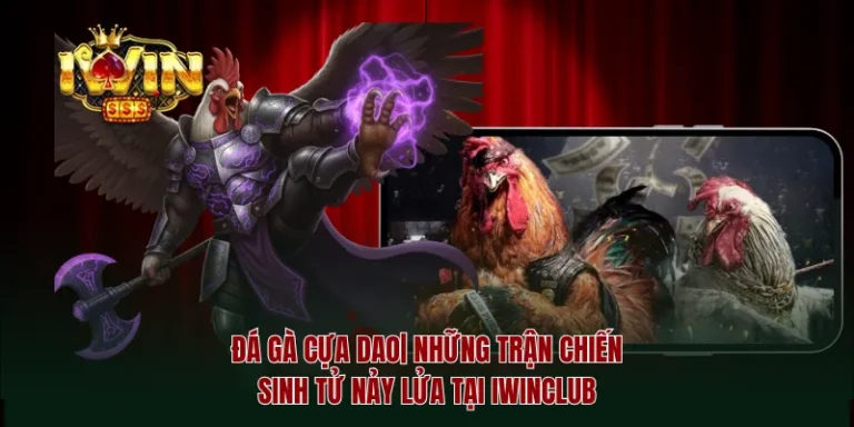 Đá gà cựa dao