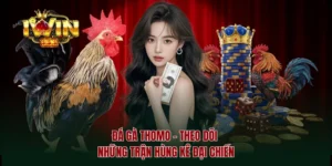 Đá gà thomo