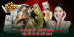 Đá gà trực tiếp