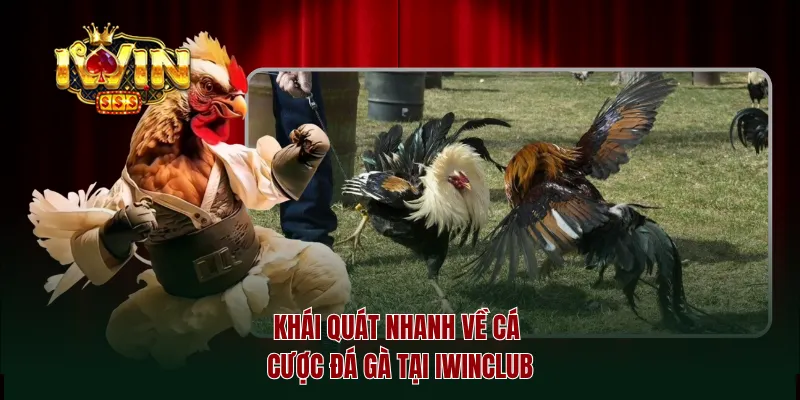 Khái quát nhanh về cá cược đá gà tại IWINCLUB