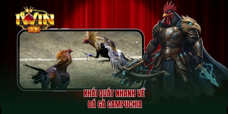 Khái quát nhanh về đá gà Campuchia
