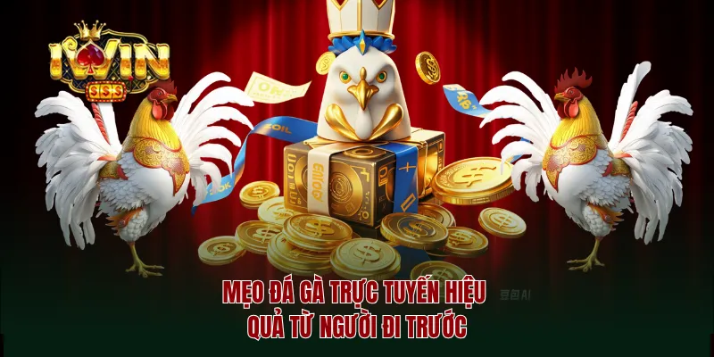 Mẹo đá gà trực tuyến hiệu quả từ người đi trước