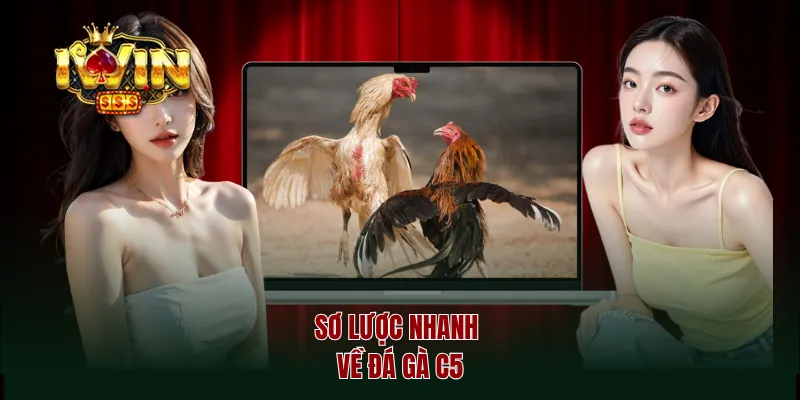 Sơ lược nhanh về đá gà c5