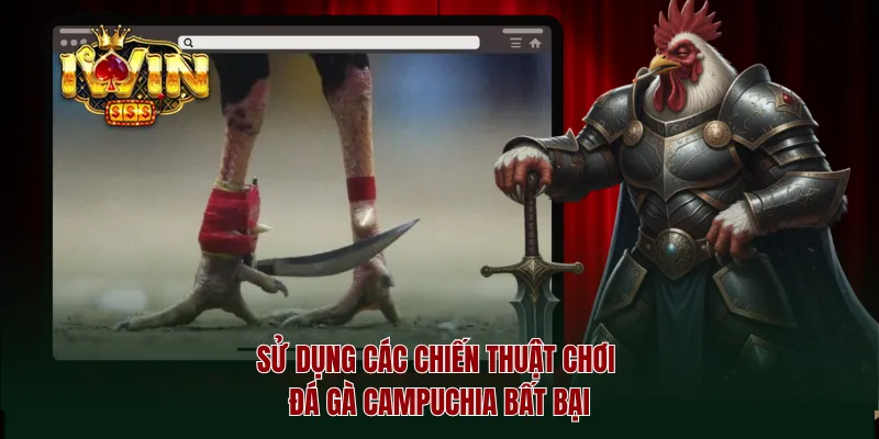 Sử dụng các chiến thuật chơi đá gà Campuchia bất bại