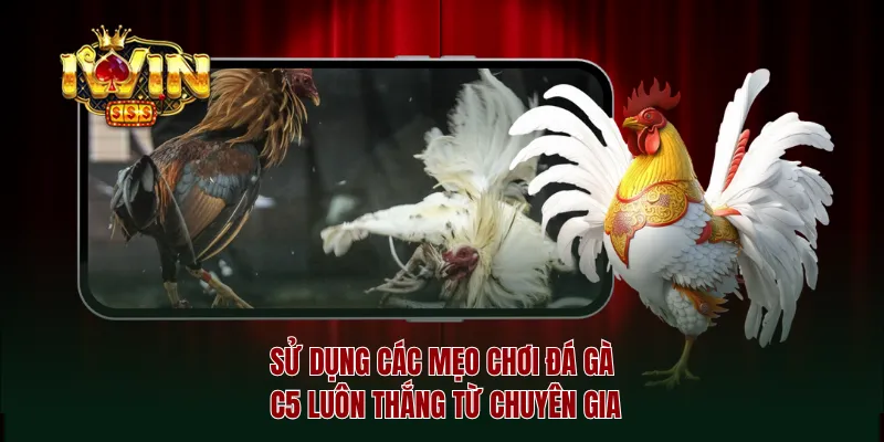 Sử dụng các mẹo chơi đá gà c5 luôn thắng từ chuyên gia