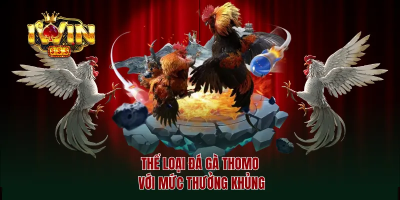 Thể loại đá gà Thomo với mức thưởng khủng