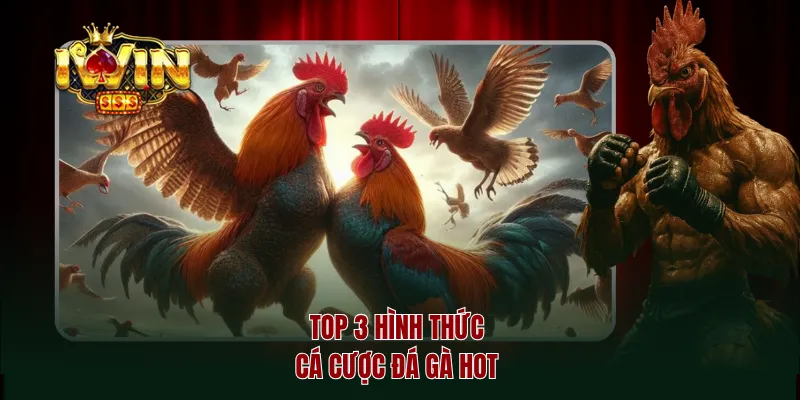 Top 3 hình thức cá cược đá gà hot 