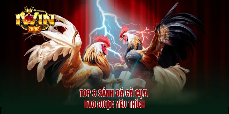 Top 3 sảnh đá gà cựa dao được yêu thích
